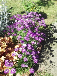 08c41022-Picture 011.jpg